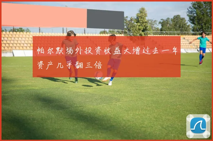 帕尔默场外投资收益大增过去一年资产几乎翻三倍